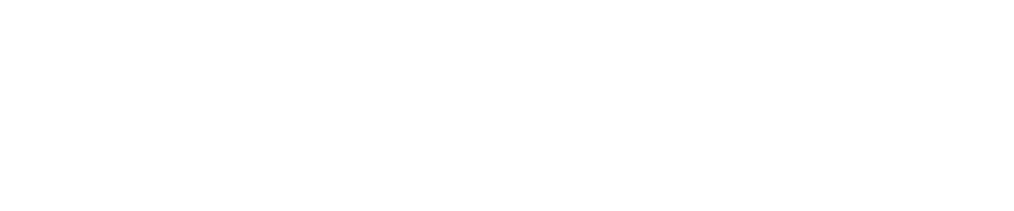 Dental Vortex